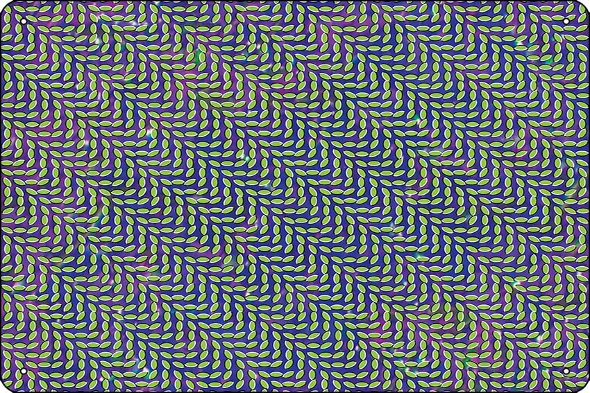 Animal Collective - Merriweath - Home Office X Post ulasan dan harga