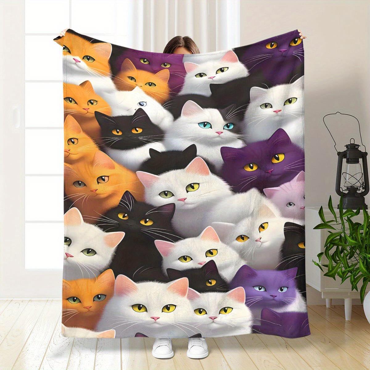 Cute British short-haired cat  - Home Office British ulasan dan harga